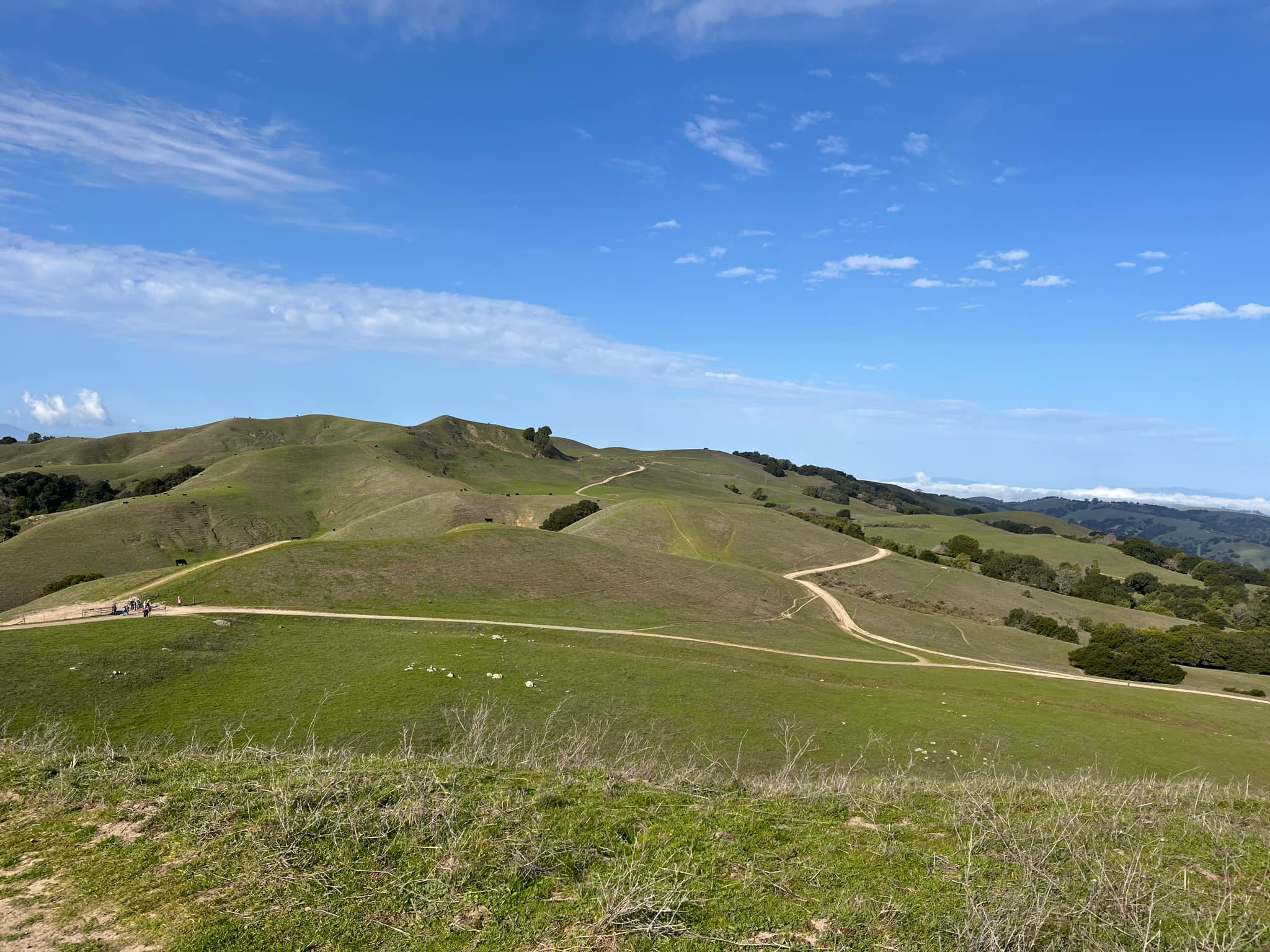 Hajk i East Bay och Briones Regional Park
