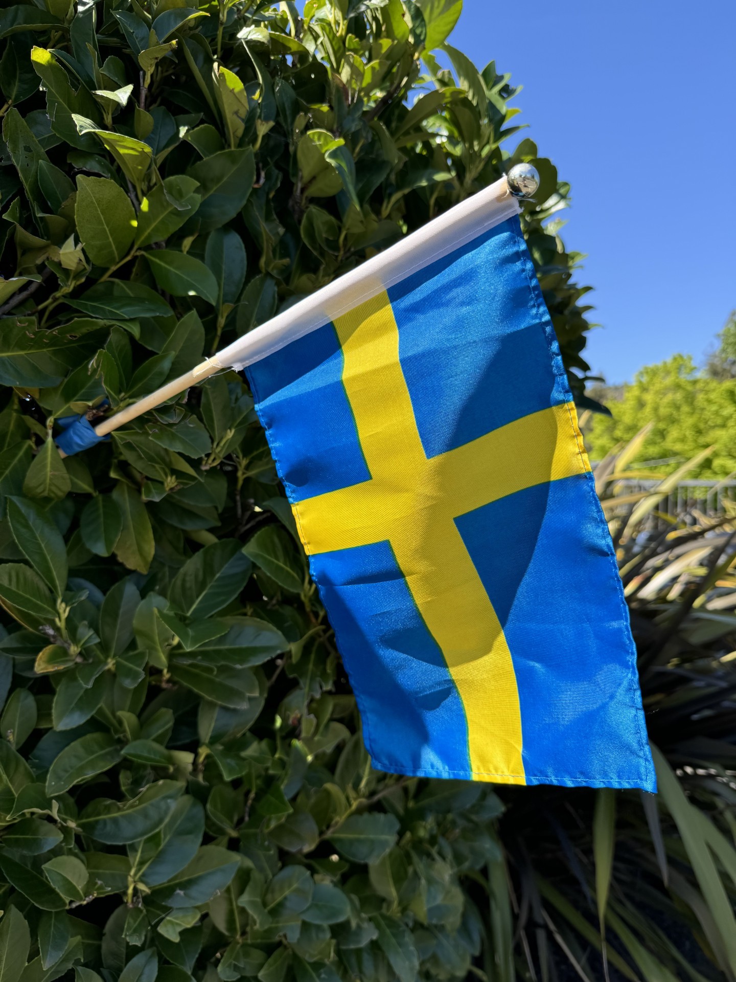 Nationaldagslunch på Francis Ford Coppola Winery i Geyserville