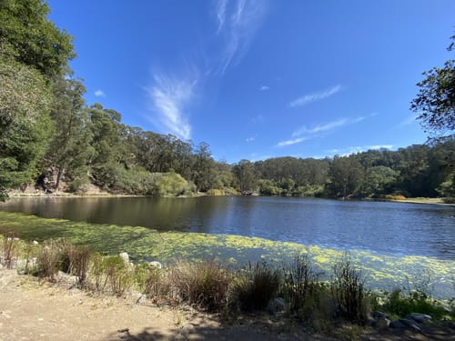 Hike i Tilden och East Bay Regional Park